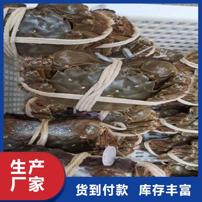 阳澄湖大螃蟹-阳澄湖大螃蟹欢迎您