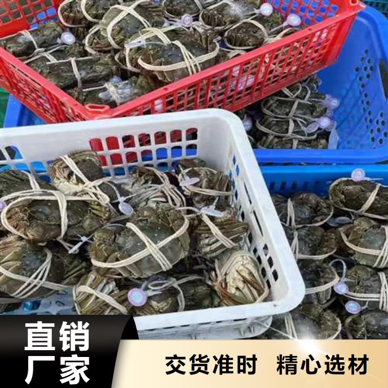 江苏阳澄湖大闸蟹哪家好