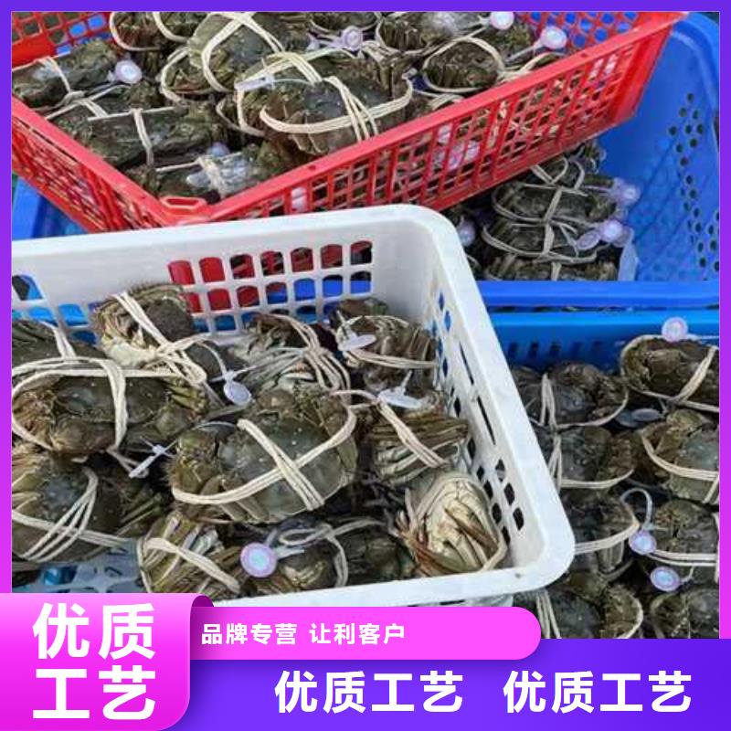 正品阳澄湖大闸蟹多少一个