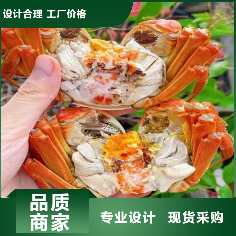 阳澄湖大闸蟹市场价