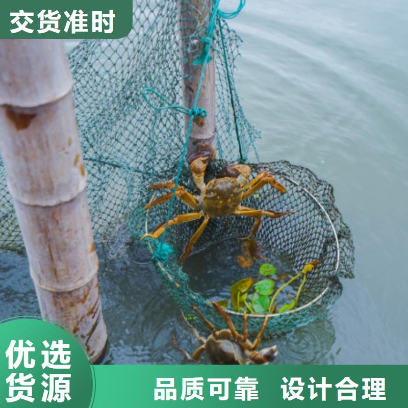 莲花岛阳澄湖大闸蟹哪家比较正宗