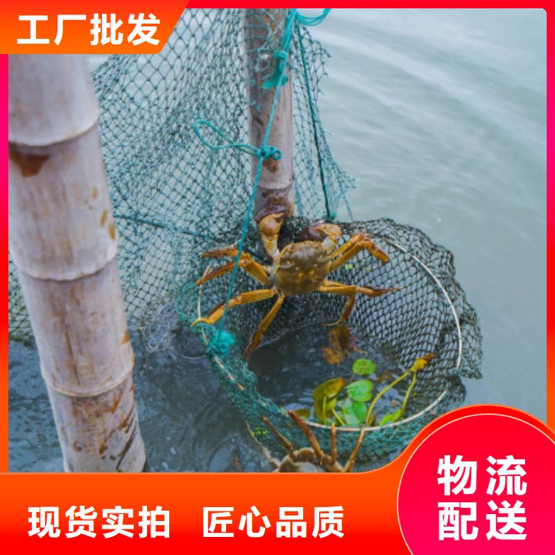 苏州阳澄湖大闸蟹哪家好