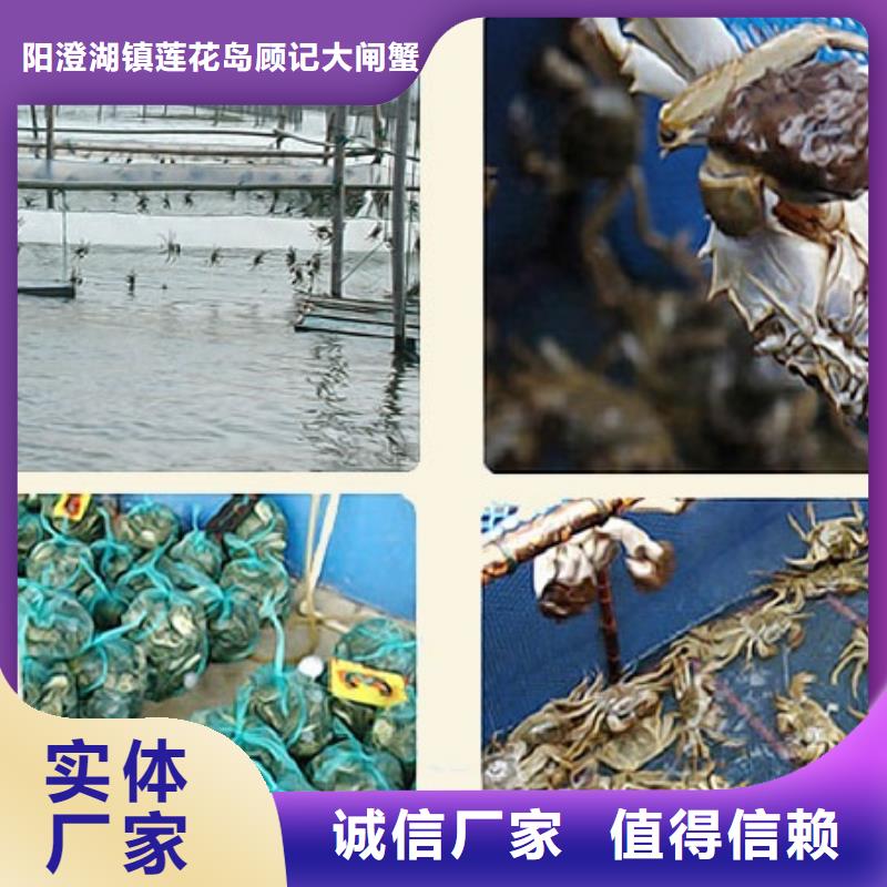 阳澄湖大闸蟹礼盒专卖店