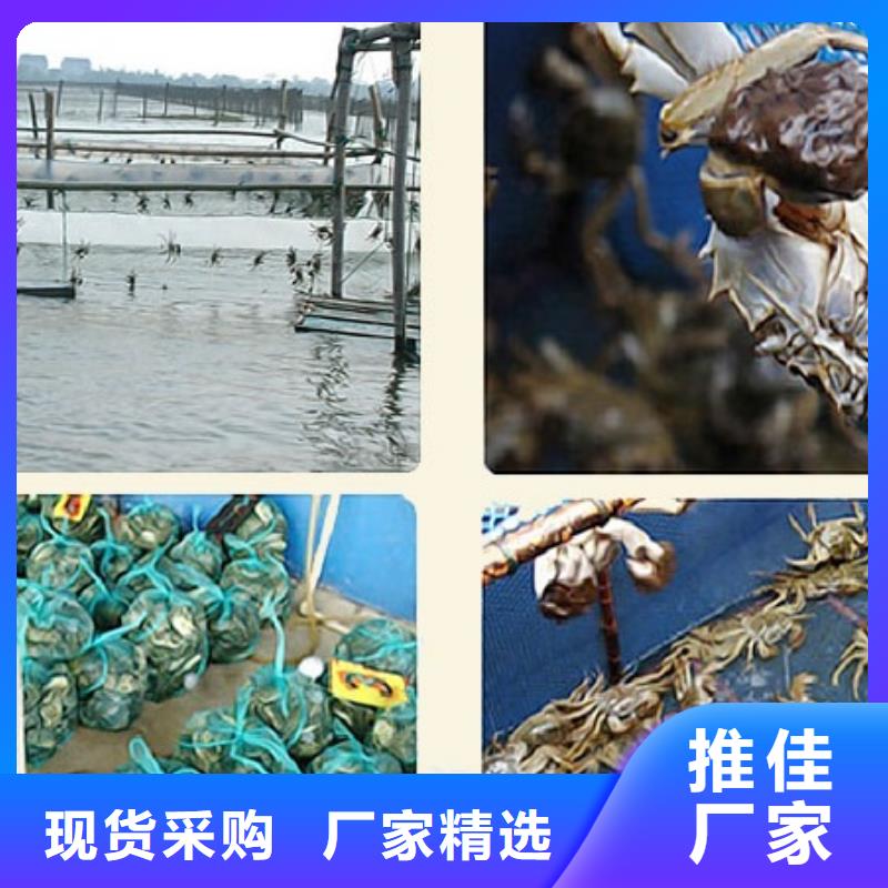 阳澄湖吃蟹哪里正宗苏州这里好