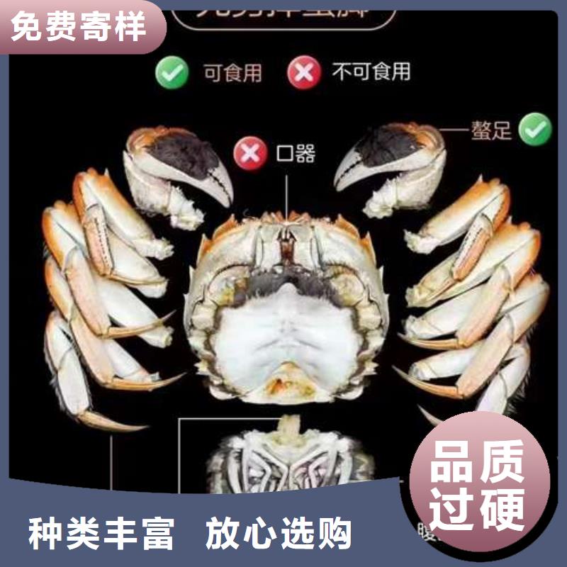 梅州市南方大螃蟹哪家好