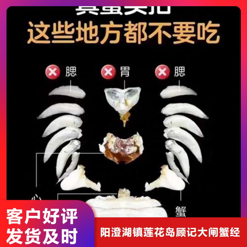 现货供应阳澄湖大闸蟹_品牌厂家