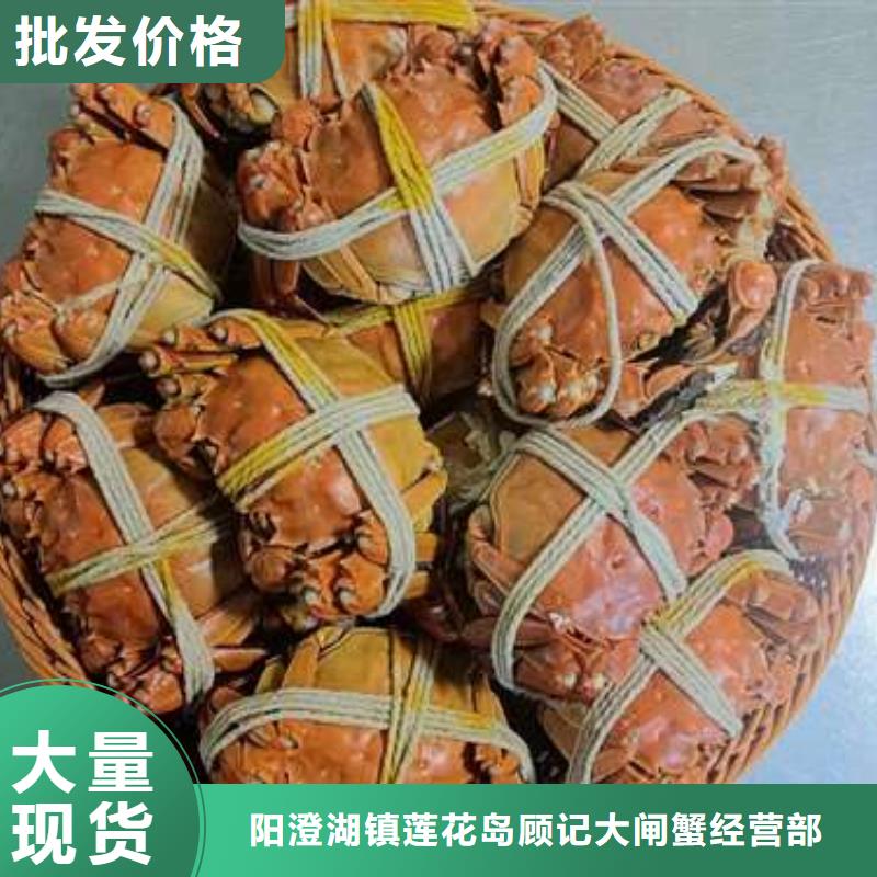 阳澄湖大闸蟹品牌厂家