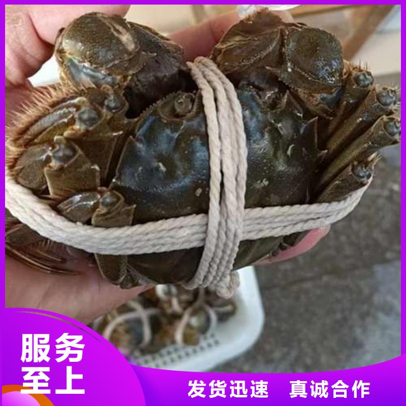 阳澄湖大闸蟹定制厂家