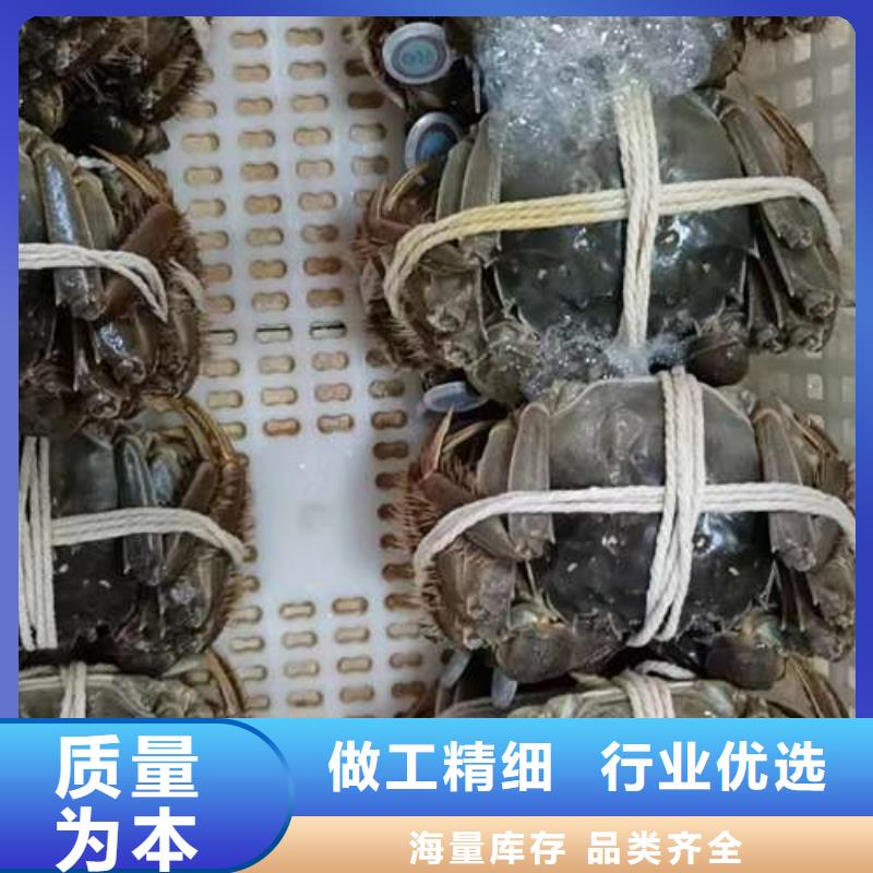 阳澄湖大闸蟹品种齐全