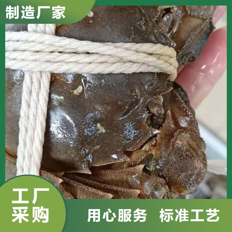 阳江市鲜活阳澄湖螃蟹礼品包装盒