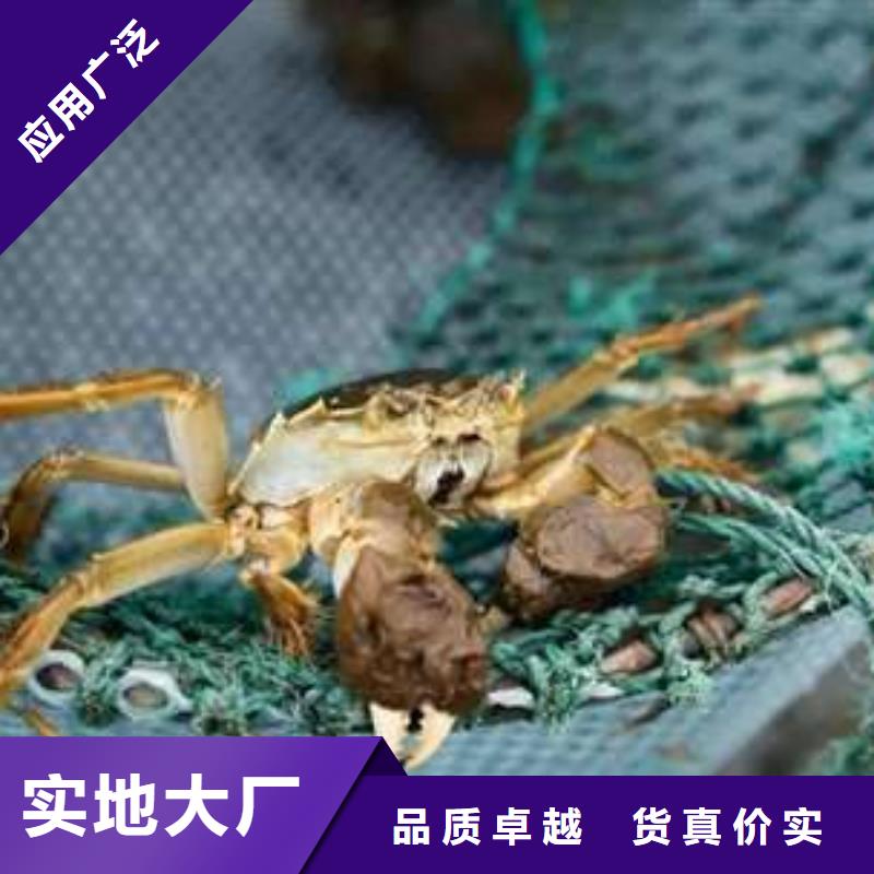 本地的阳澄湖大闸蟹厂家