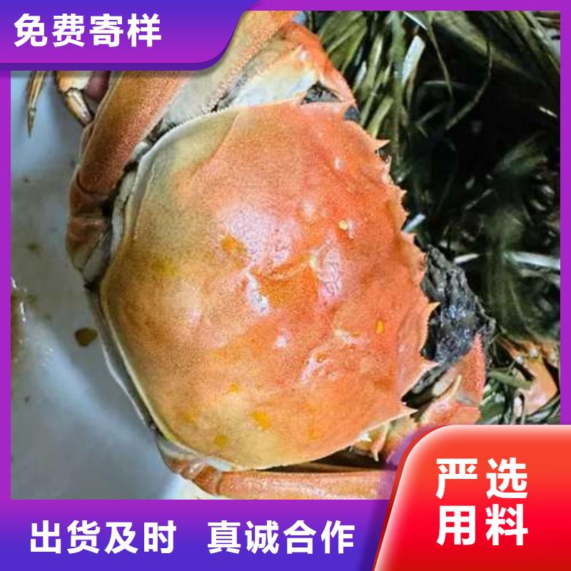 定做阳澄湖大闸蟹厂家