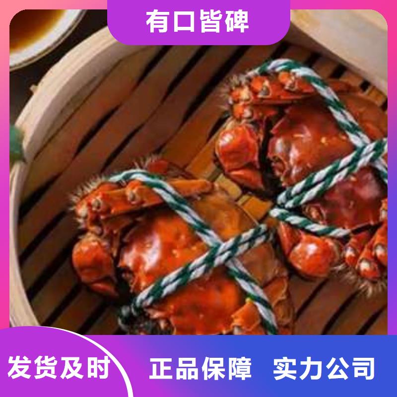 阳澄湖大闸蟹厂家，质优