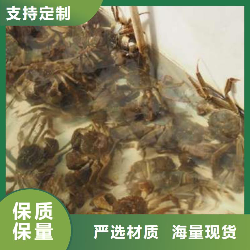 阳澄湖大闸蟹信誉好厂家