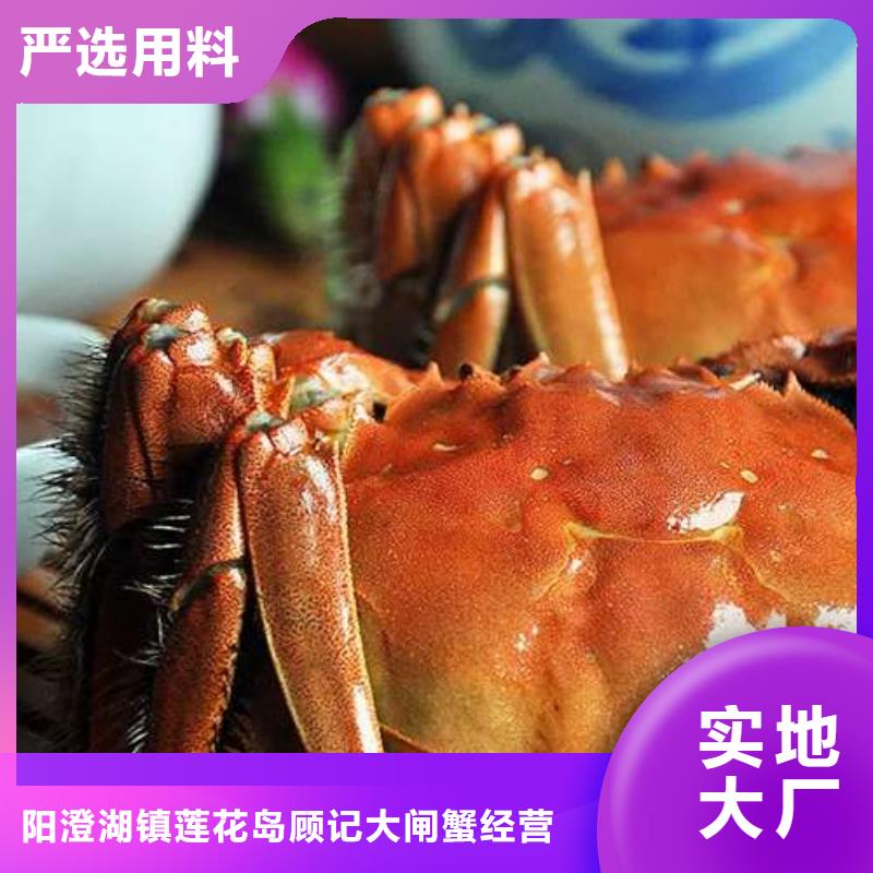 批发阳澄湖大闸蟹_品牌厂家