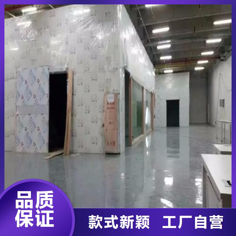 核工业系统用铅房可定制厂家