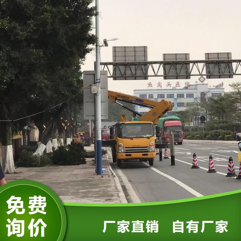 平湖街道路灯车租赁服务高效