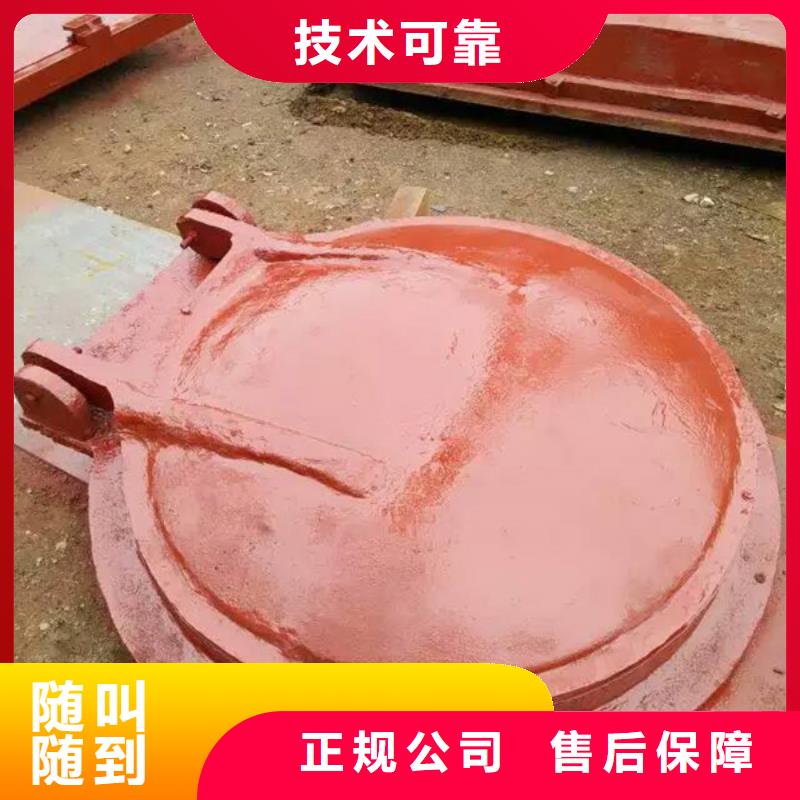 水库拍门、水库拍门参数