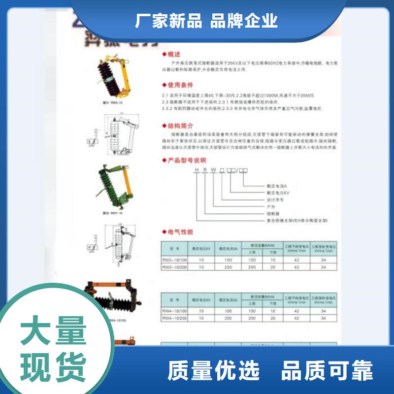 高压熔断器_RW12-10/100