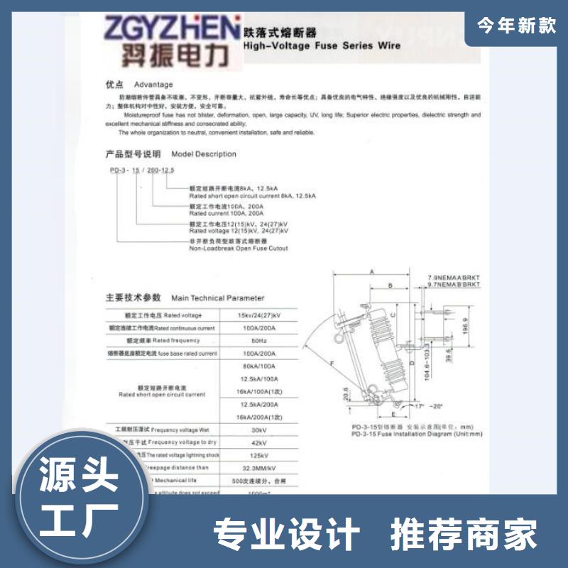 高压熔断器/RW7-10/100