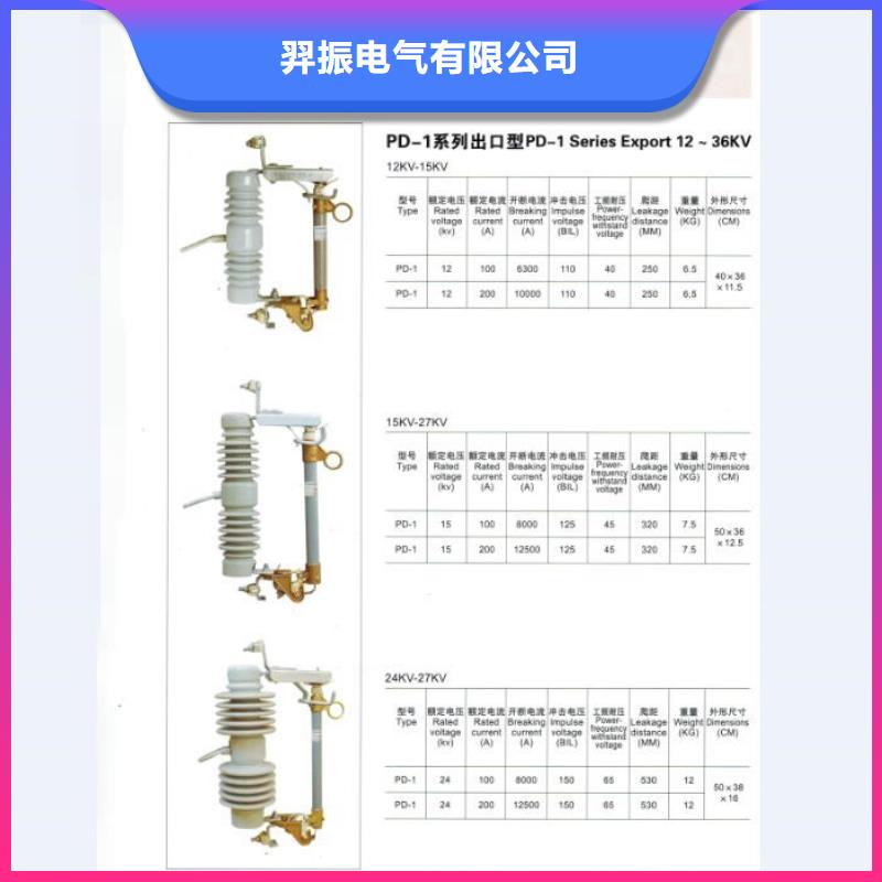 高压熔断器RW12-10/200