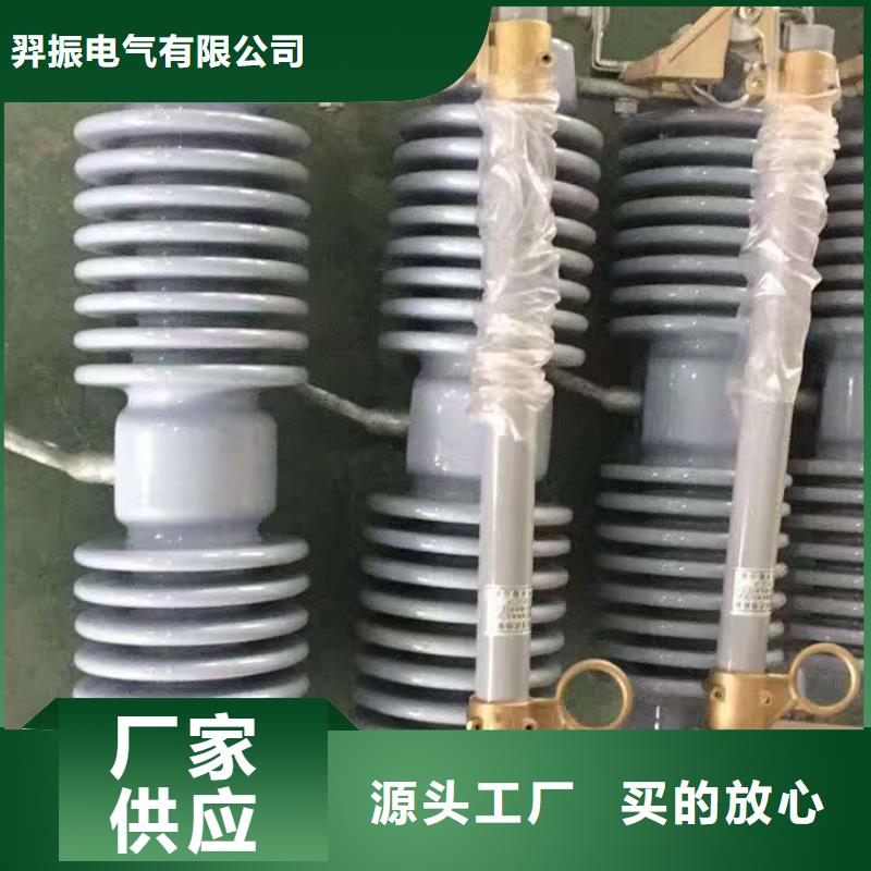 高压熔断器PRW12-10KV/100A