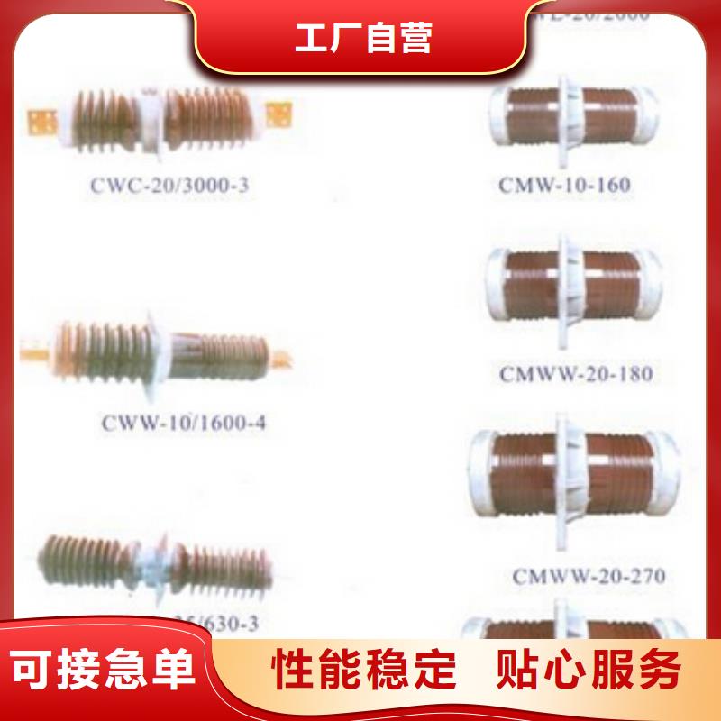 高压隔离开关-SHW1塑料外壳断路器价格实在