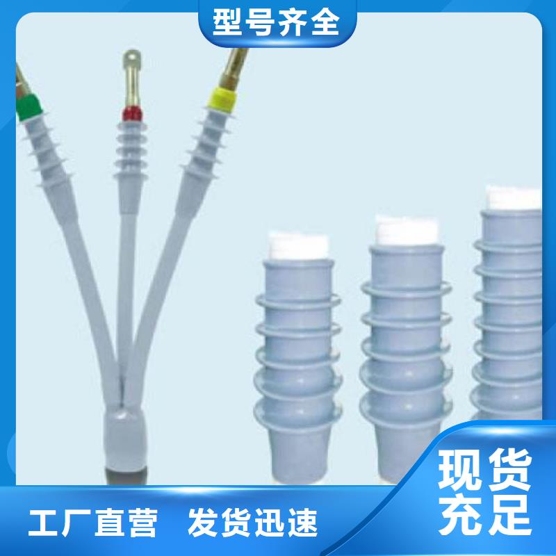 35KVLSN-1/1冷缩电缆终端头