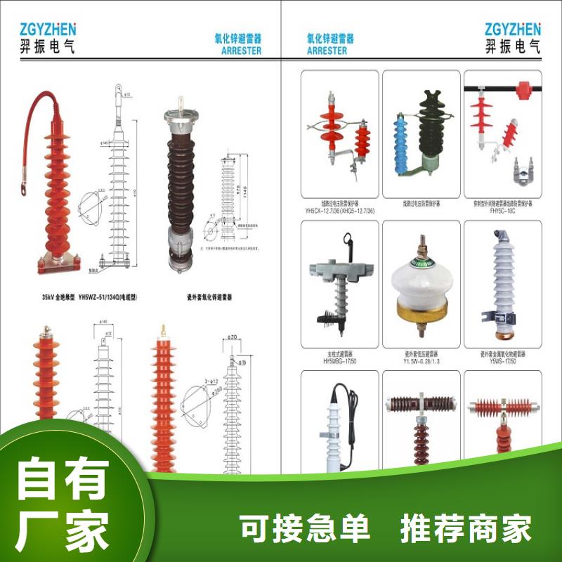 氧化锌避雷器Y10W-96/250【浙江羿振电气有限公司】