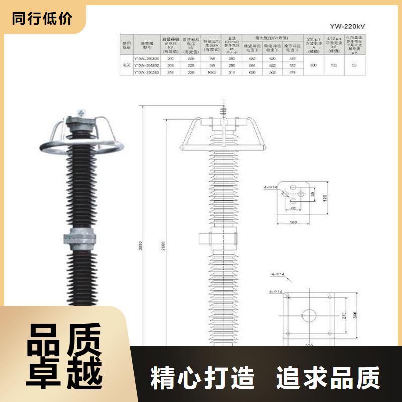 避雷器HY10WZ2-200/520S