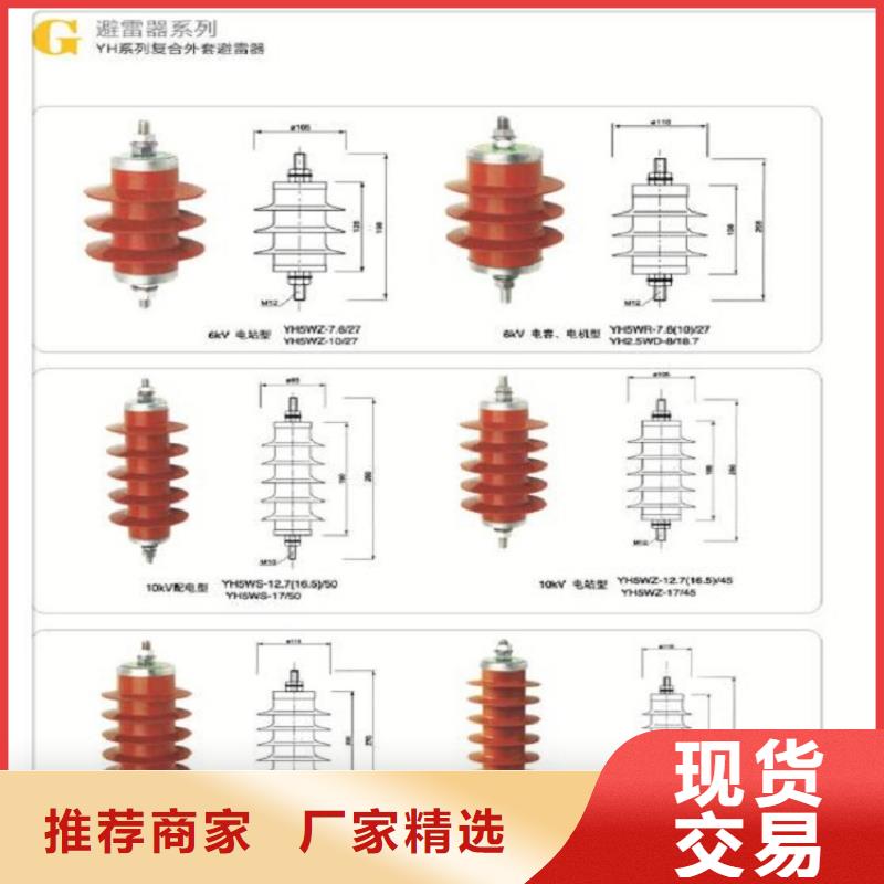 瓷外套金属氧化物避雷器Y10W-216/562