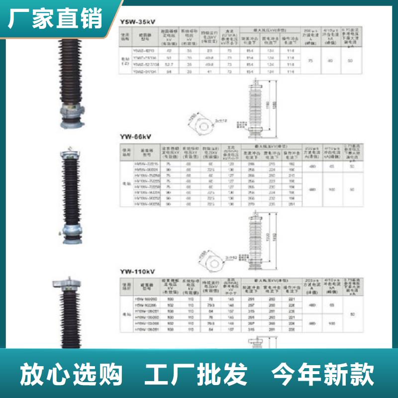 氧化锌避雷器Y10W-216/562【浙江羿振电气有限公司】