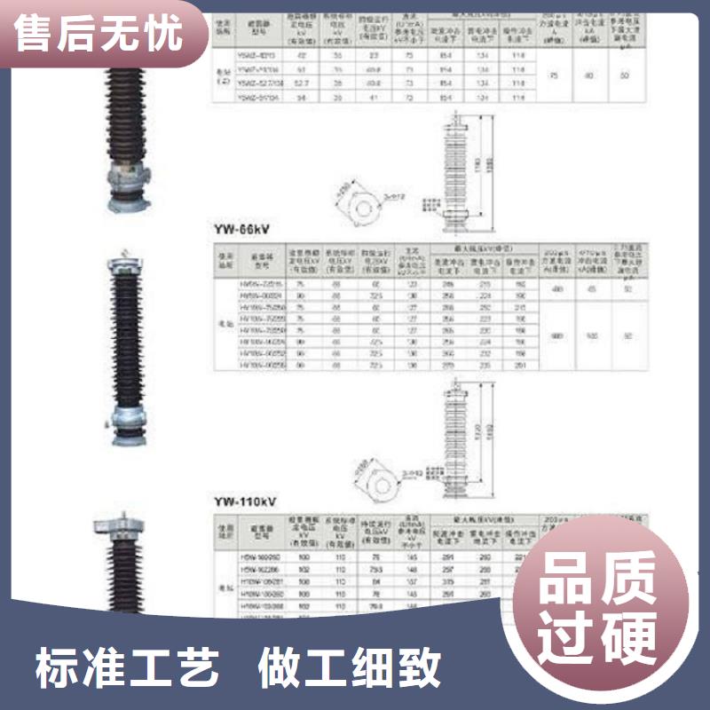 避雷器Y5WS-17/50DL【羿振电气】