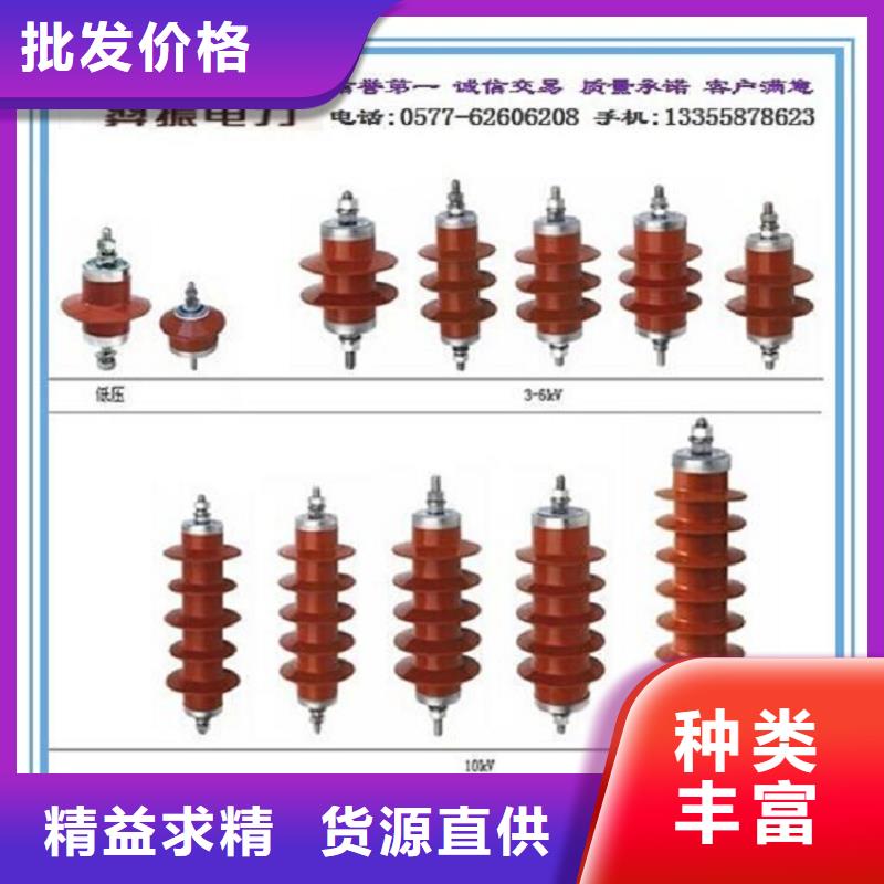 避雷器YH10CX-116/302J·