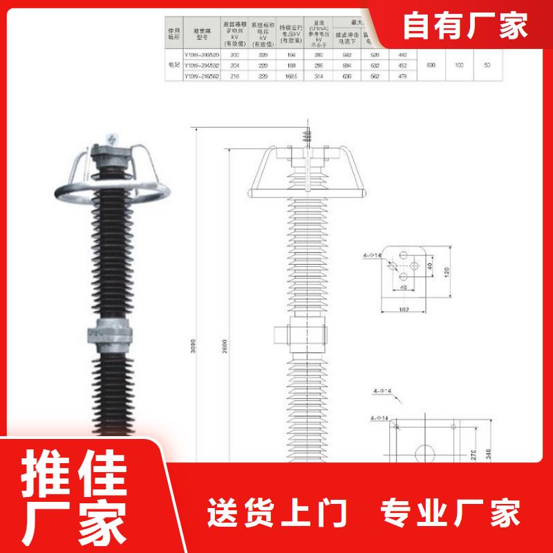 避雷器YH10WZ2-51/122S氧化锌避雷器金属氧化物避雷器厂家