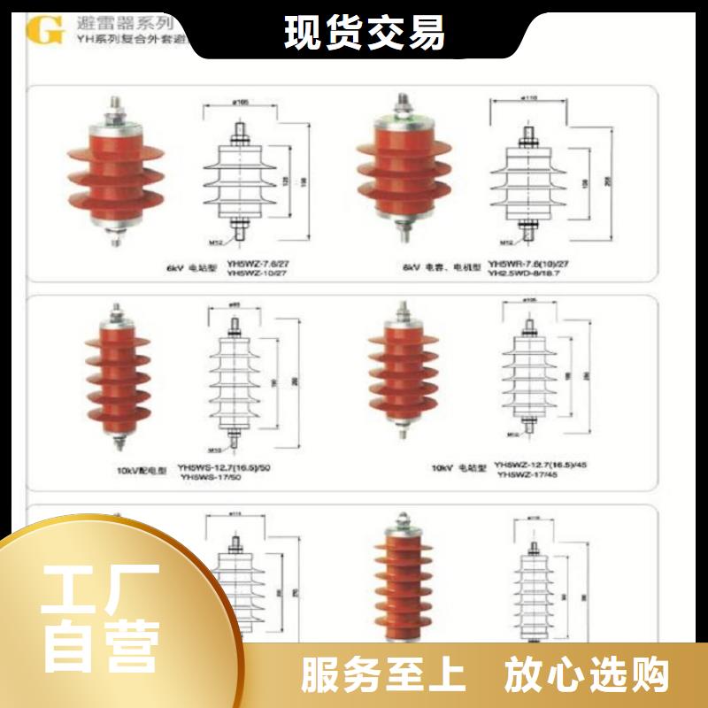 避雷器YH5WD-20/45【羿振电气】