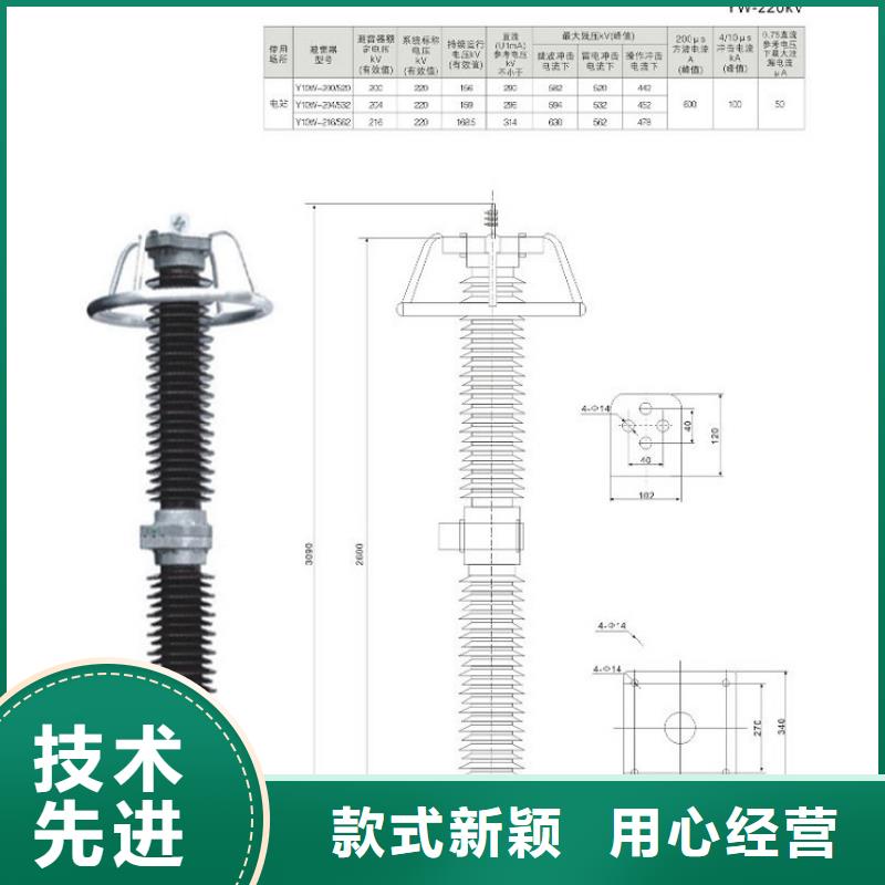 避雷器YH5WD-20/45【羿振电气】