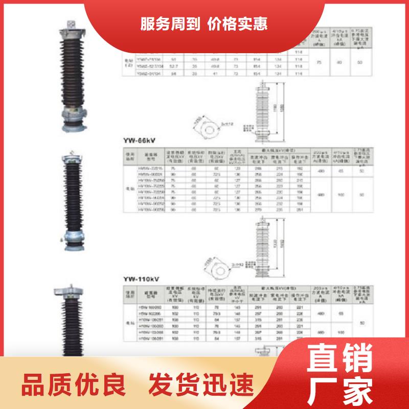 避雷器Y10W1-100/260【羿振电力】