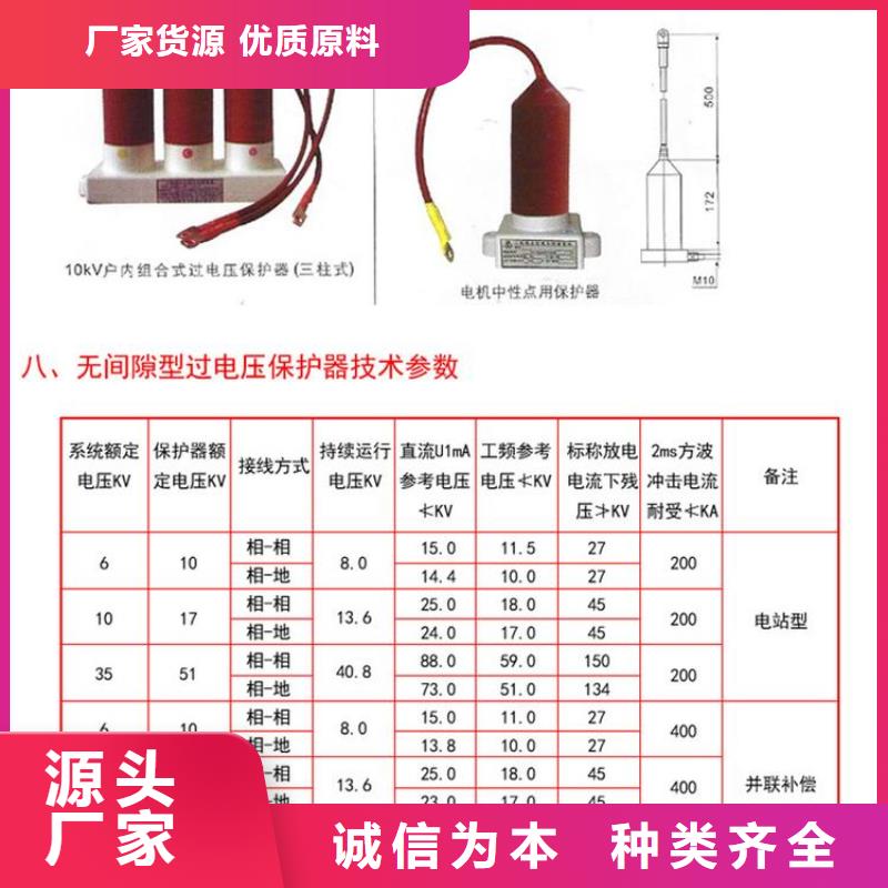 【过电压保护器】TBP-A-35/310