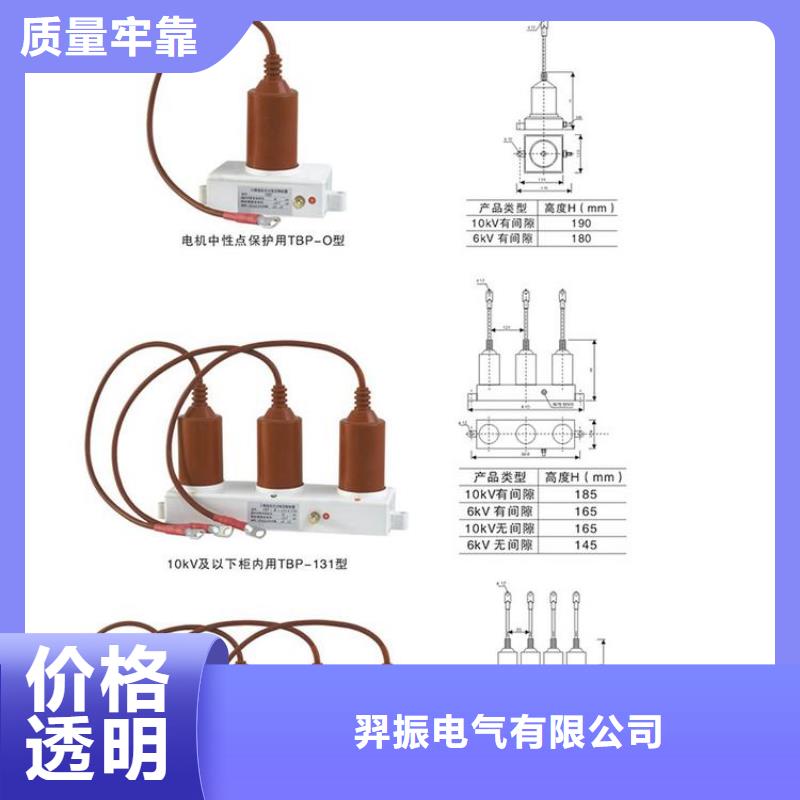 过电压保护器(组合式避雷器)TBP-B-42F/630W