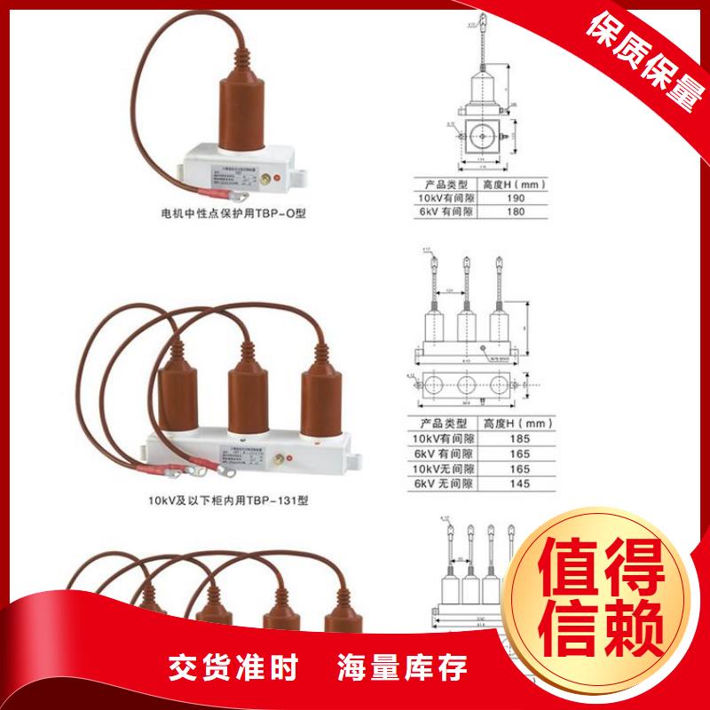 过电压保护器(组合式避雷器)SCGB-C-7.6/131F