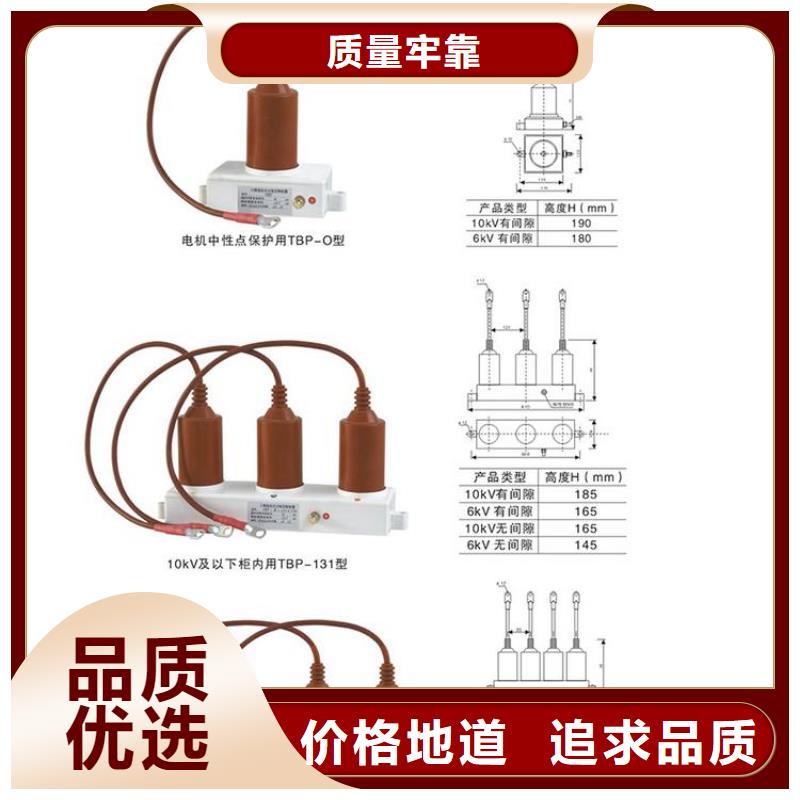 【过电压保护器/避雷器】TBP-C-35/400W1