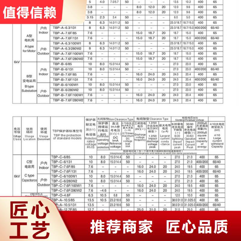 【过电压保护器】TBP-C-10.5/85