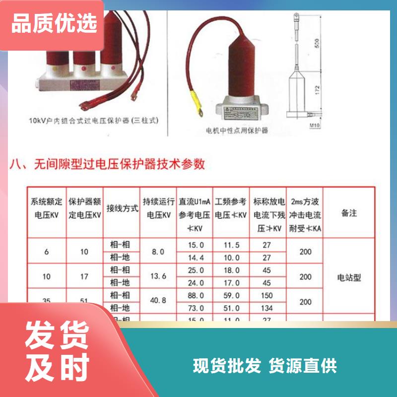 过电压保护器(组合式避雷器)BSTG-C-42F/200