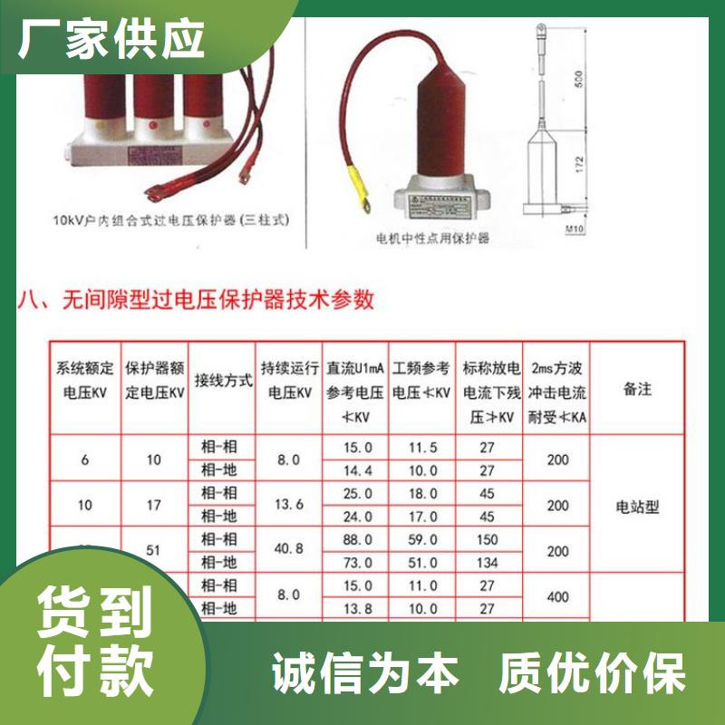 过电压保护器(组合式避雷器)TBP-B-10.5/85-J