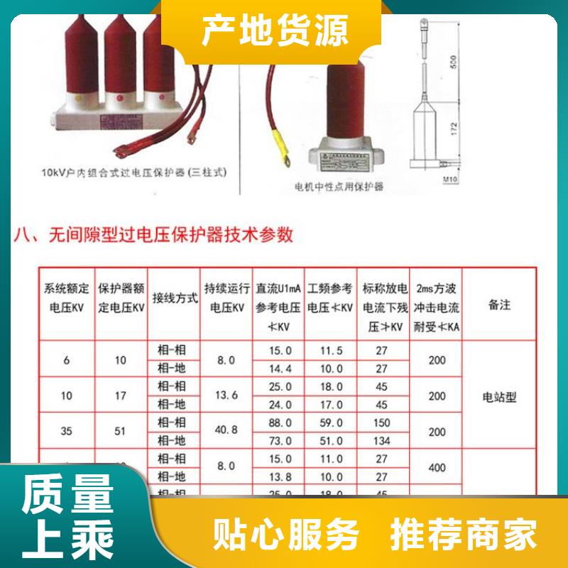 过电压保护器TBP-B-10.5/131