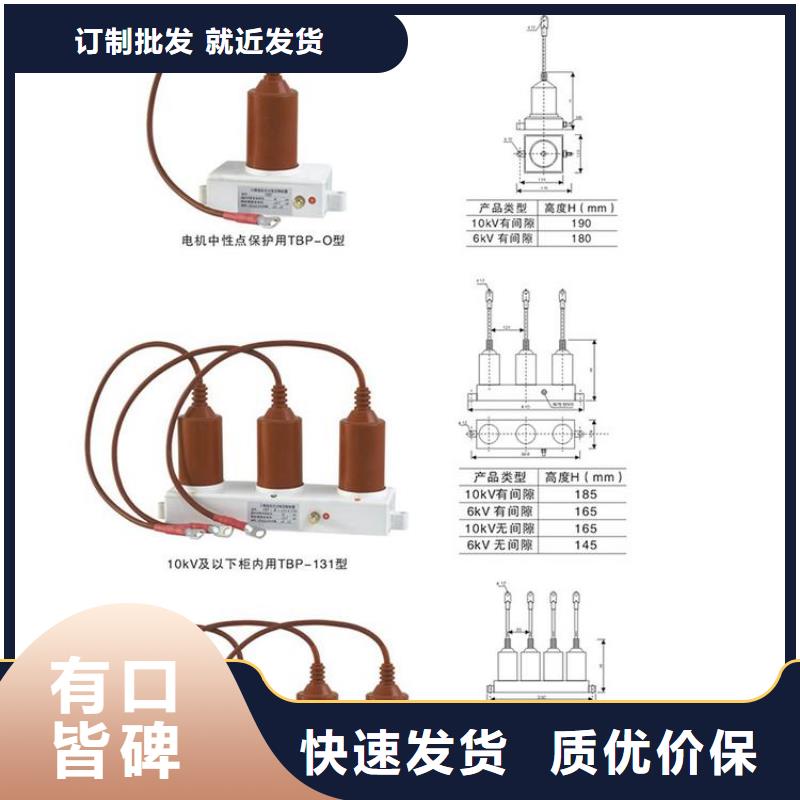 〖过电压保护器〗TBP-C-7.6/131源头好货