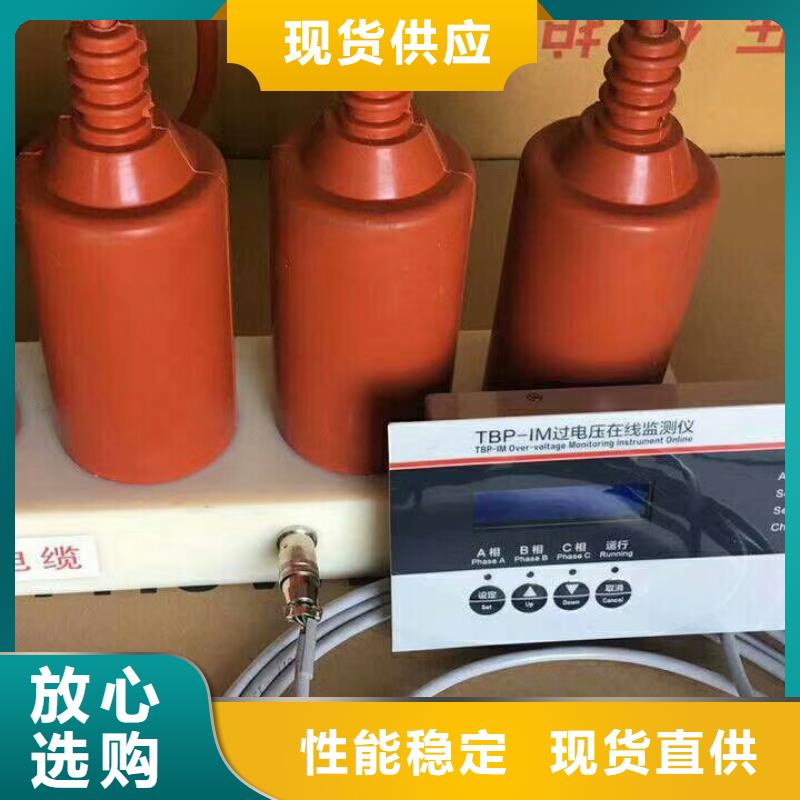 保护器(组合式避雷器)YHB5WZ-10/27*10/27.0