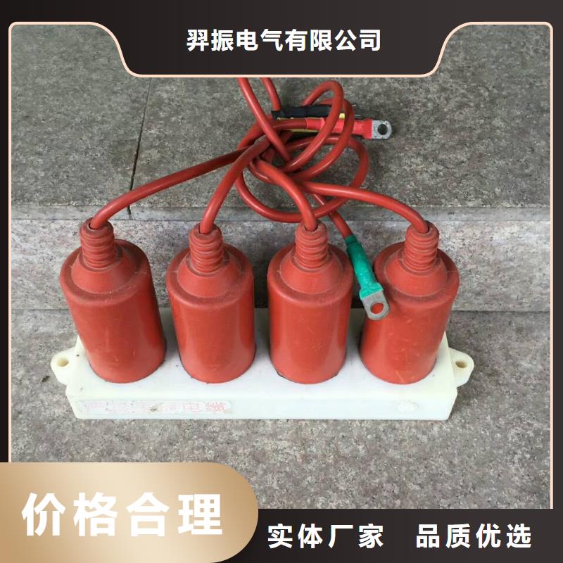 【过电压保护器】TBP-B-10KV