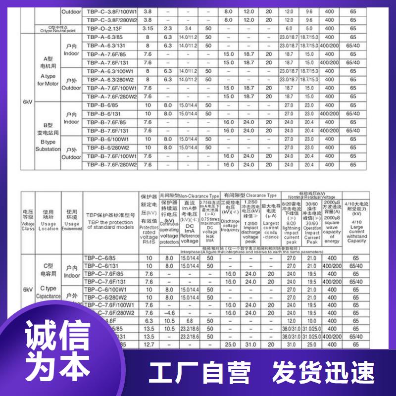 过电压保护器TBP-A-7.6F/85-J